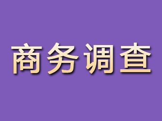 宣城商务调查